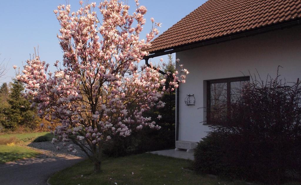 Apartmany Pod Kozakovem Tatobity ภายนอก รูปภาพ